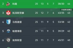 雷速体育官方-汉堡球队实力均衡，成绩持续提升