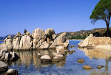 雷速体育电脑版官网下载-索伯车队绝杀迈凯伦，勒克莱尔刷新纪录